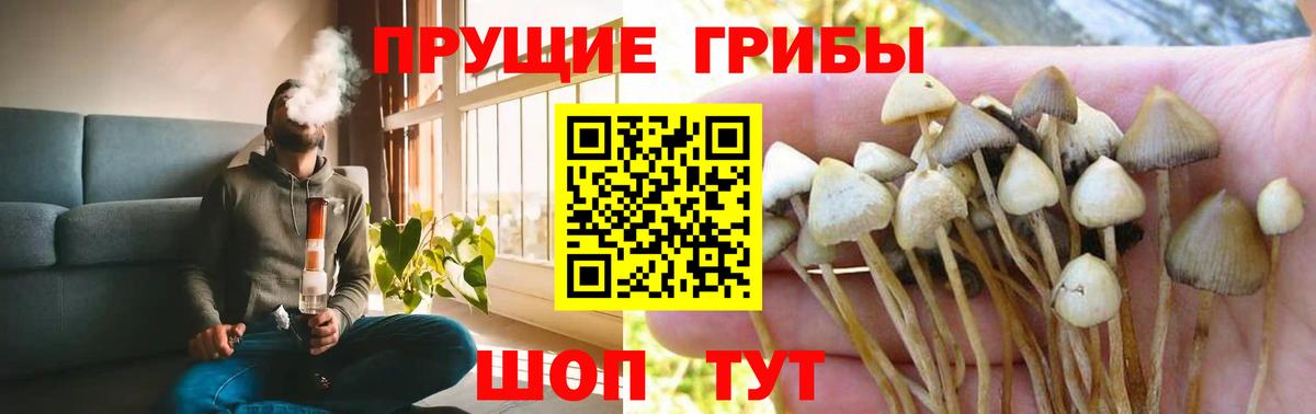 Псилоцибиновые грибы мухоморы  Вход с VPN  Нерюнгри  Галлюциногенные грибы MAGIC MUSHROOMS 